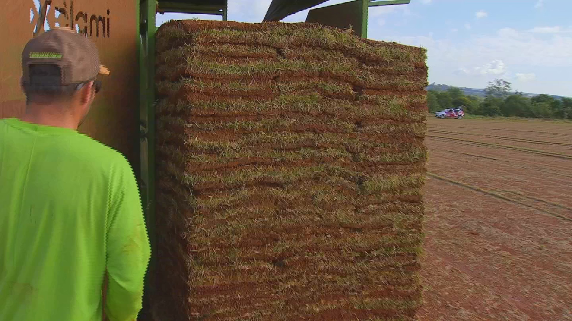 Produtores de grama em Itapetininga reforçam vendas com chegada da Copa do Mundo